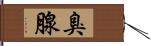 臭腺 Hand Scroll