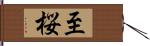 至桜 Hand Scroll