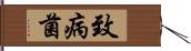 致病菌 Hand Scroll