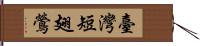 臺灣短翅鶯 Hand Scroll