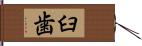 臼歯 Hand Scroll
