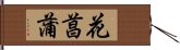 花菖蒲 Hand Scroll