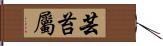 芸苔屬 Hand Scroll