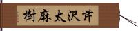 芹沢太麻樹 Hand Scroll