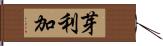 芽利加 Hand Scroll