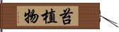 苔植物 Hand Scroll