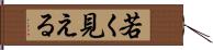 若く見える Hand Scroll