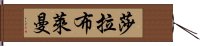 莎拉·布萊曼 Hand Scroll