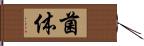 菌体 Hand Scroll