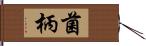 菌柄 Hand Scroll