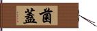 菌蓋 Hand Scroll