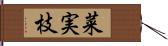 菜実枝 Hand Scroll
