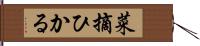 菜摘ひかる Hand Scroll