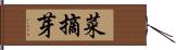 菜摘芽 Hand Scroll