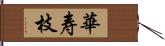 華寿枝 Hand Scroll