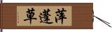 萍蓬草 Hand Scroll