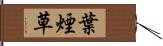 葉煙草 Hand Scroll