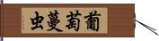 葡萄蔓虫 Hand Scroll