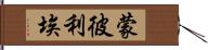 蒙彼利埃 Hand Scroll