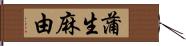 蒲生麻由 Hand Scroll