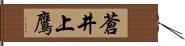 蒼井上鷹 Hand Scroll