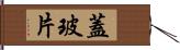 蓋玻片 Hand Scroll