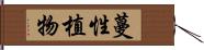 蔓性植物 Hand Scroll