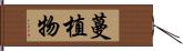 蔓植物 Hand Scroll