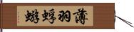 薄羽蜉蝣 Hand Scroll