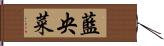 藍央菜 Hand Scroll