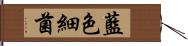 藍色細菌 Hand Scroll