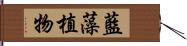 藍藻植物 Hand Scroll