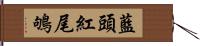 藍頭紅尾鴝 Hand Scroll