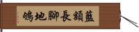 藍額長腳地鴝 Hand Scroll