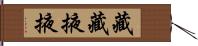 藏藏掖掖 Hand Scroll