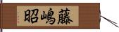 藤嶋昭 Hand Scroll