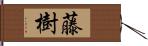 藤樹 Hand Scroll