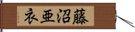 藤沼亜衣 Hand Scroll