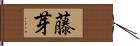 藤芽 Hand Scroll