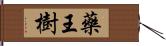 藥王樹 Hand Scroll