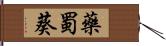 藥蜀葵 Hand Scroll