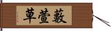 藪萱草 Hand Scroll