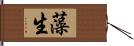 藻生 Hand Scroll