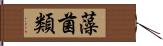 藻菌類 Hand Scroll