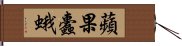 蘋果蠹蛾 Hand Scroll