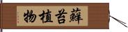蘚苔植物 Hand Scroll