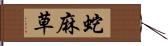 蛇麻草 Hand Scroll