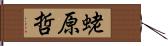 蛯原哲 Hand Scroll