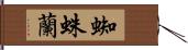 蜘蛛蘭 Hand Scroll