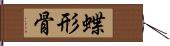 蝶形骨 Hand Scroll